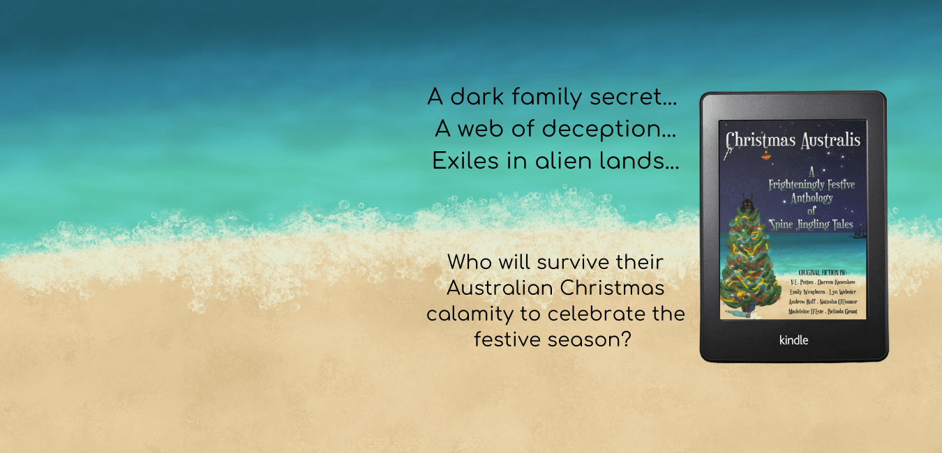 Christmas Australis ebook on the beach